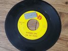 The Six Pents – Summer Girl / She Lied 1966 Kidd 1335 7