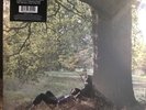 John Lennon - Plastic Ono Band [2 LP]  (Record, 2021)
