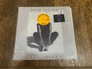 Tracy Chapman LP in Shrink Hype - Crossroads - Elektra Records 60888-1 1989 DMM