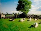 The KLF - Chill Out. Clear Vinyl LP. New.