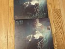 Signed Autographed Hozier Wasteland Baby Vinyl LP