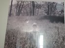 Taylor Swift Folklore In The Weeds Limited Edition Deluxe Vinyl LP NEW SEALED