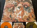BARONESS Gold & Grey 2x LP Vinyl Tour Edition SEALED w/ PRINT John Dyer Baizley