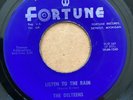 DOOWOP 45 DELTEENS FORTUNE 541 LISTEN TO THE RAIN/ (WHY DON’T YOU) LOVE ME)