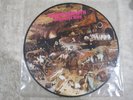 Black Sabbath Greatest Hits Picture Disc  vinyl LP