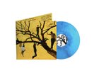 FIDDLEHEAD- DEATH IS NOTHING TO US LP BLUE SWIRL VARIANT SOLD OUT