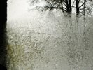 For Emma Forever Ago by Bon Iver (Record, 2008) Near Mint Condition