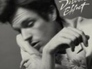 BRANDON FLOWERS: DESIRED EFFECT (LP vinyl *BRAND NEW*.)