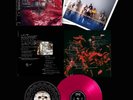 FOALS EVERY NOT SAVED WILL BE LOST #1 ALBUM-LIVRE VINYLE ÉD. LIM. NUM. SIGNÉE
