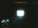 Emeralds - Does It Look Like I'm Here? NEW Sealed Vinyl