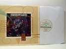 SIOUXSIE AND THE BANSHEES the last beat of my heart 12 INCH EX/EX- SHEX 16 vinyl