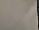 The Beatles White Album Vinyl,  Stereo, 1st Pressing UK