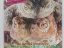 Peter And The Test Tube Babies - The Mating Sounds Of South American Frogs EX 18