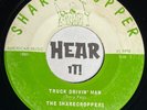 Wild Private Rockabilly Country Bop 45 THE SHARECROPPERS Truck Drivin Man HEAR