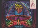 THE ALLMAN BROTHERS BAND Bear's Sonic Journals Fillmore East 1970 2LP PINK VINY