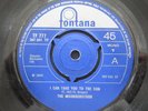 THE MISUNDERSTOOD -  I Can Take You to The Sun  / Who Do You Love -1966 Vinyl 45