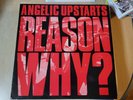 Angelic Upstarts REASON WHY? UK LP Punk