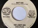 TR'S HOT ICE Hot Ice / Fatty Bum Bum AVI RECORDS 45 RARE MODERN SOUL DISCO