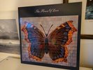 HOUSE OF LOVE EX LP VINYL RECORD