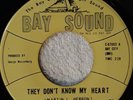 northern soul THE BLEU LIGHTS They Don t Know My Heart BAY SOUND 67003 M-