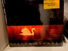VAN MORRISON Avalon Sunset LP Mercury 839 262-1 US 1989 with shrink/hype sticker