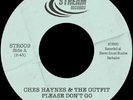 HAYNES, Ches/THE OUTFIT - Please Don't Go - Vinyl (7