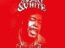 Barry White - Love's Theme: The Best Of 2LP NEW