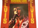 *NEVER OPENED*ELVIS PRESLEY Burning Love Hits From His Movies Vol 2 Vinyl 1972