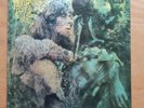 VINYL JOHN MAYALL Blues From Laurel Canyon DECCA STEREO UK 1968 SKL4972 LP ROCK