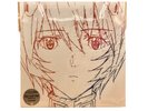 Hikaru Utada One Last Kiss Limited Edition Analog LP Shin Evangelion Japan Anime