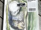 RSD 2014 - DINOSAUR JR. - Visitors -  AWESOME 5 x 7
