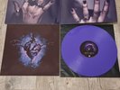 Sanctuary - Warrel Dane - Shadow Work LP Liliac Colored + Bonus CD