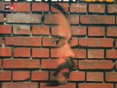 Wolfgang Dauner's Et Cetera - Live [LP] | MPS Records - 29 21754-2 | NM/EX