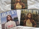 Lana Del Rey Born to Die The Paradise Edition (Vinyl, 2012)
