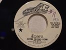 PROMO The Doors 'Riders On The Storm'  45