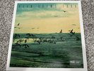 Ryan Adams 1989 Seafoam Green B&N Limited Edition Vinyl Taylor Swift Cover Album