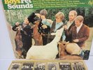 VTG 1966 The Beach Boys Pet Sounds Capitol Duophonic DT-2458 Vinyl Excellent