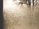 Bon Iver - For Emma, Forever Ago (Vinyl LP - 2008 - EU - Reissue)