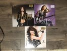 Miley Cyrus Vinyls Limited Editions Breakout, Can’t Be tamed, Time Of Our Lives