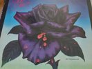 THIN LIZZY Black Rose 1979 Hard Rock Warner Brothers Promo Vinyl SUPER RARE