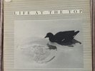 Life At The Top - Third Mind Sampler LP (1984) + Magazine