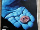 Coldplay The Blue Room Vinyl E.P