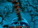 Pantera - Far Beyond Driven LP NEW COLOR VINYL