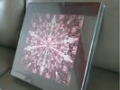 Blackpink 1st Vinyl LP The Album (18888 Limited Edition)