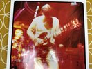 Paul Weller - Live Wood 12