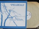 Pharoah Sanders India Navigation 1977 LP & CV VG++ Cleaned by Clearaudio machine