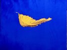 New Order - True Faith  1963- Vinyl Record 12” 1987 New Wave Retro Dance Ex