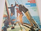 Vintage The Beach Boys 