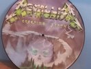 METALLICA PICTURE DISC, creeping death ,vinyl,heavy metal