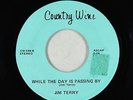 Private Rock 45 - Jim Terry - While The Day Is Passing - Country Wine - unknown?